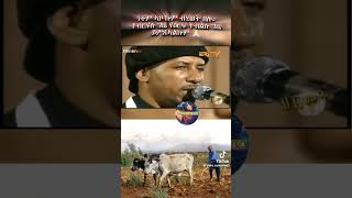 legend artist #eritrea #habesha #habeshamusic #eritrian