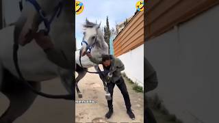 #horse #sansansehorhorse #horsecare #horselov #funny #horselove #يوميات_ترند #comedy #horseriding