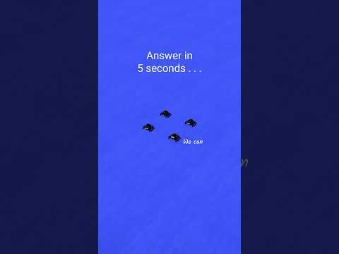 Riddle: jumping spiders in a square