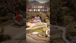 二人の兄弟が一緒に家を建てました