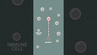 Treating autoimmune disease using your own cells