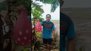 World's Best Prank Gone Wrong! How To Win Every Prank Wars Challenge