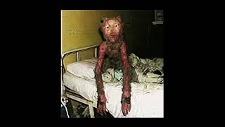 Eleanor’s Hospice #horror #terrifyingtales #horrorfacts #scary #crime