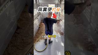 沒人搶的工作