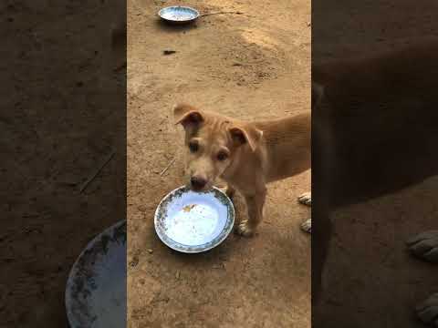 មកមើលទេសភាពនៅស្រុកស្រែ