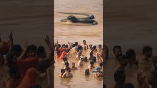 Vasuki Darshan at Mahakumbhmela🙏🏻♥️ #mahakumbh #prayagraj #shorts #trending #youtubeshorts #song