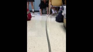 Wave Interference
