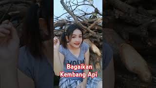 Bisa jadi Kembang Api #comedy