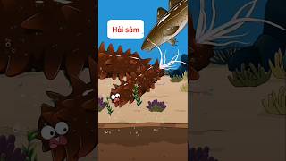 Tập phim hoạt hình hải sâm #hoạthình #hoathinhthieunhi #hoathinhvuinhon #phimhoathinh #shorts