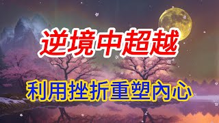逆境中的超越：利用挫折重塑內心力量#人心#人性#人際#心理學#提升#社會#關係#社會#環境#認知#成長#情感#兩性#感情#認知#家庭