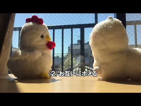 【検証】まねっこぬいぐるみを二体使えば永遠に会話が続くのか
