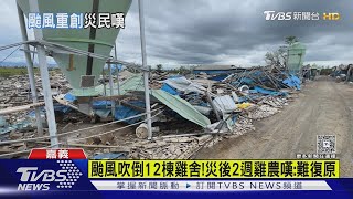 颱風吹倒12棟雞舍!災後2週雞農嘆:難復原｜TVBS新聞 @TVBSNEWS02