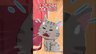 【2ch】「子猫を引き取っていい？」とウチの猫に聞いたら…【アニマル】 #Shorts
