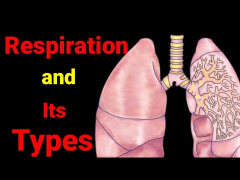 What is Respiration? and types of Respiration .In very simple explanation.