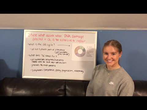 What Happens When DNA Damage is Too Extensive?  (BIOS 041)