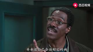 【怪医杜立德】豆瓣高分电影，如果人人都是杜立德，世界将会更美好！