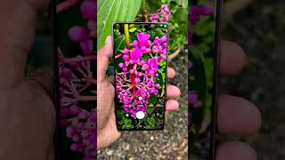 Samsung Galaxy Note 20 Camera Test #shorts #techjoy