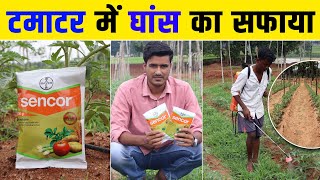 Bayer Sencor Herbicide | सेनकोर खरपतवार नाशक | टमाटर में खरपतवारनाशक  | #herbicide #sencor #farming