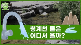 [Why요?] 청계천 물은 어디서 올까? / 연합뉴스 (Yonhapnews)