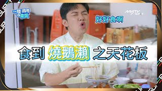 一條麻甩在東莞👨🏻‍🌾｜第2集精華｜食到燒鵝瀨之天花板｜獨家上架｜逢星期六更新兩集｜myTV SUPER original
