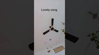 ll Sham bhi khoob hai pass mehboob hai ll #shortsfeed #youtubeshorts #romanticsong #lovesong #love