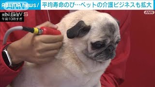 犬・猫の平均寿命14歳超　高齢化で介護ビジネス進む(2024年4月4日)