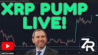 XRP PUMP Live!