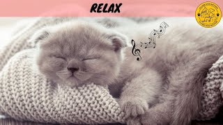 MÚSICA PARA ACALMAR GATOS (TESTADO)
