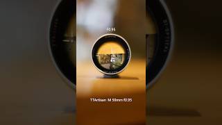 Get ultra shallow depth of field with TTArtisan 50mm f0.95 lens