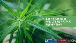 Best Practices for Cyber Attack Prevention with Clark Hill & Michigan Cannabis Industry Association
