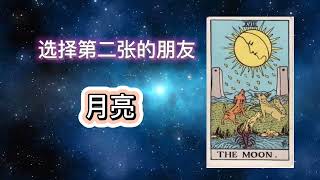 🌟塔罗指引，直觉选牌，揭示生活启示🌟