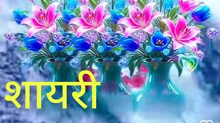 शायरी का खजाना ✍️✍️✍️|| romantic love 💕😘 shayari hurt touching sayari in Hindi ✍️✍️✍️