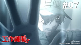 工作细胞 第2季 - 第07集【癌细胞2前篇】【中字】