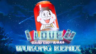 I LOVE YOU - DAVID TAO 爱很简单 ( WUKONG REMIX )