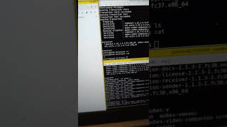 testing out Qubes video screen companion #shorts #video #qubesos