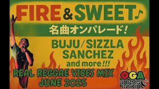 オガラジ名曲オンパレード！  BUJU / SIZZLA /SANCHEZ and more!!  | OGAWORKS RADIO REAL REGGAE VIBES MIX JUNE 2025