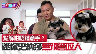 屈臣氏 Wats Petmacy 寵物藥妝呈獻：煉狗術師III｜點解咁唔鍾意手？ 迷你史納莎無預警咬人！ ｜Eric Ko｜鄺芷凡｜迷你史納莎｜無預警咬人｜第5集｜HOY｜HOYTV