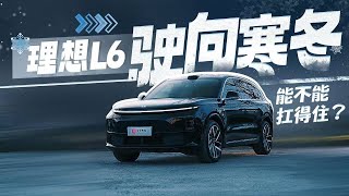 理想L6驶向寒冬，能不能扛得住？