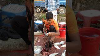 Amazing Big Poti Fish Super First Cutting #fishcooking #fishcuttingskill #fishcuting #fishdishes
