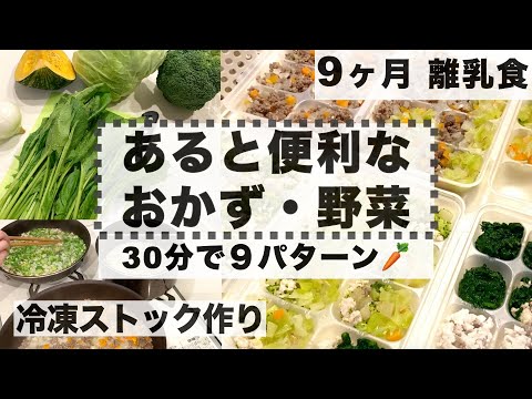 【9ヶ月なりたて】離乳食　使いまわせるストック準備 30分で9パターン【赤ちゃんが寝ている間に効率よく】Baby food preparation 9 months baby
