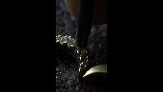 The artistry behind Collection Automne | APM Monaco