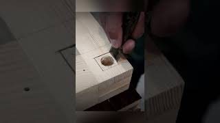 Eco-Friendly Woodworking: beyond the basic Technique