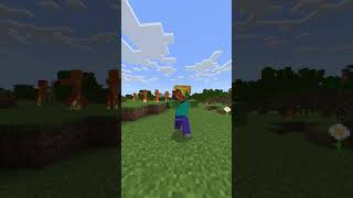 MInecraft time so fast #minecraftmemes