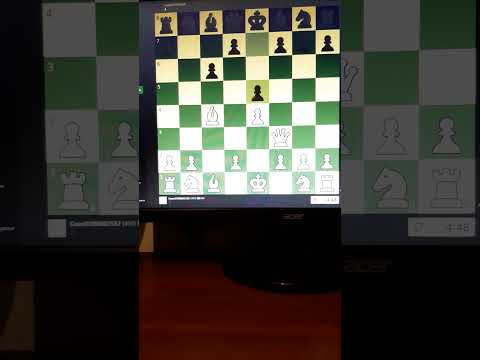 Случайно выиграл #shorts  #шахматы