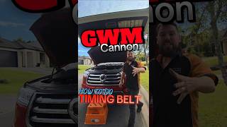 GWM CANNON TIMING BELT Info - #gwm #gwmcannon #howto #mechanic #pseries #tank300 #tank500 #haval