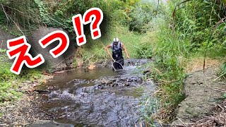 No way!? When I rummaged around in a stream full of fish, I found a super rare creature!?