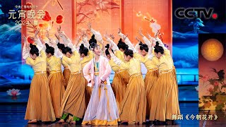 取材于宋代插花艺术 舞蹈《今朝花开》古色古香 「2024央视元宵晚会」| CCTV春晚