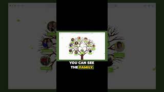 Find Family Trees and Recipes Online