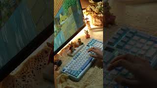 MechLands VIBE 99 in your area! #mechlands #typingtest #mechkeyboard