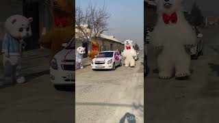 Chaqaloq #trend #ayiqlar #yaypan ayiqchalar #ayiqchalar #trending #panda #trendingshorts #reels